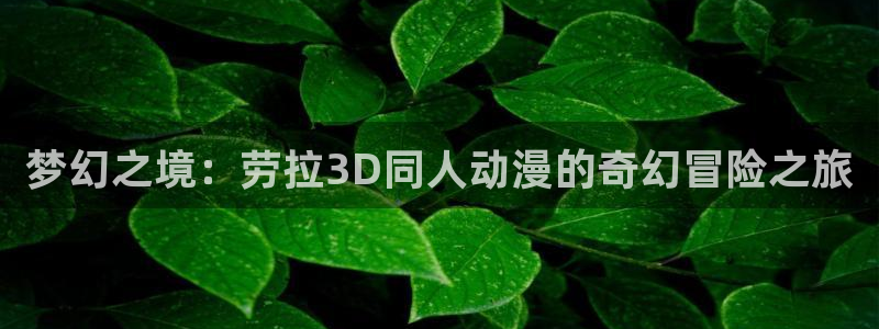 闪电十一人go2时空之石樱花动漫：梦幻之境：劳拉3D同人动漫的奇幻冒险之旅